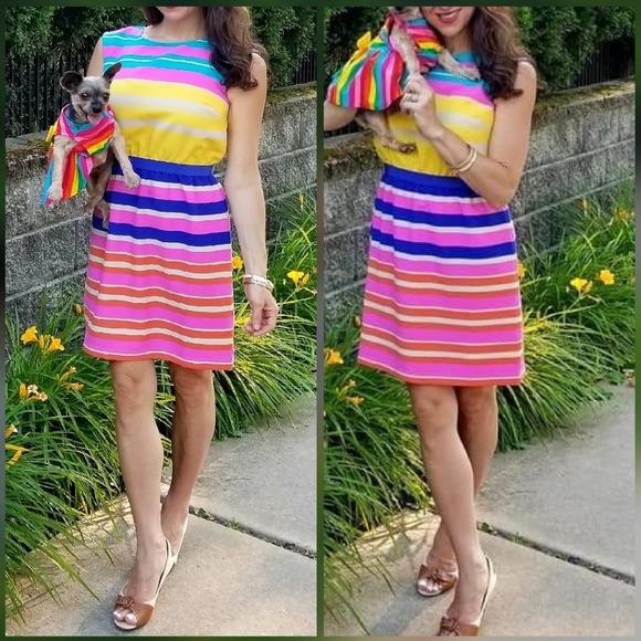 LOFT Dresses & Skirts - Ann Taylor LOFT cheerful color stripe dress 2p NWT